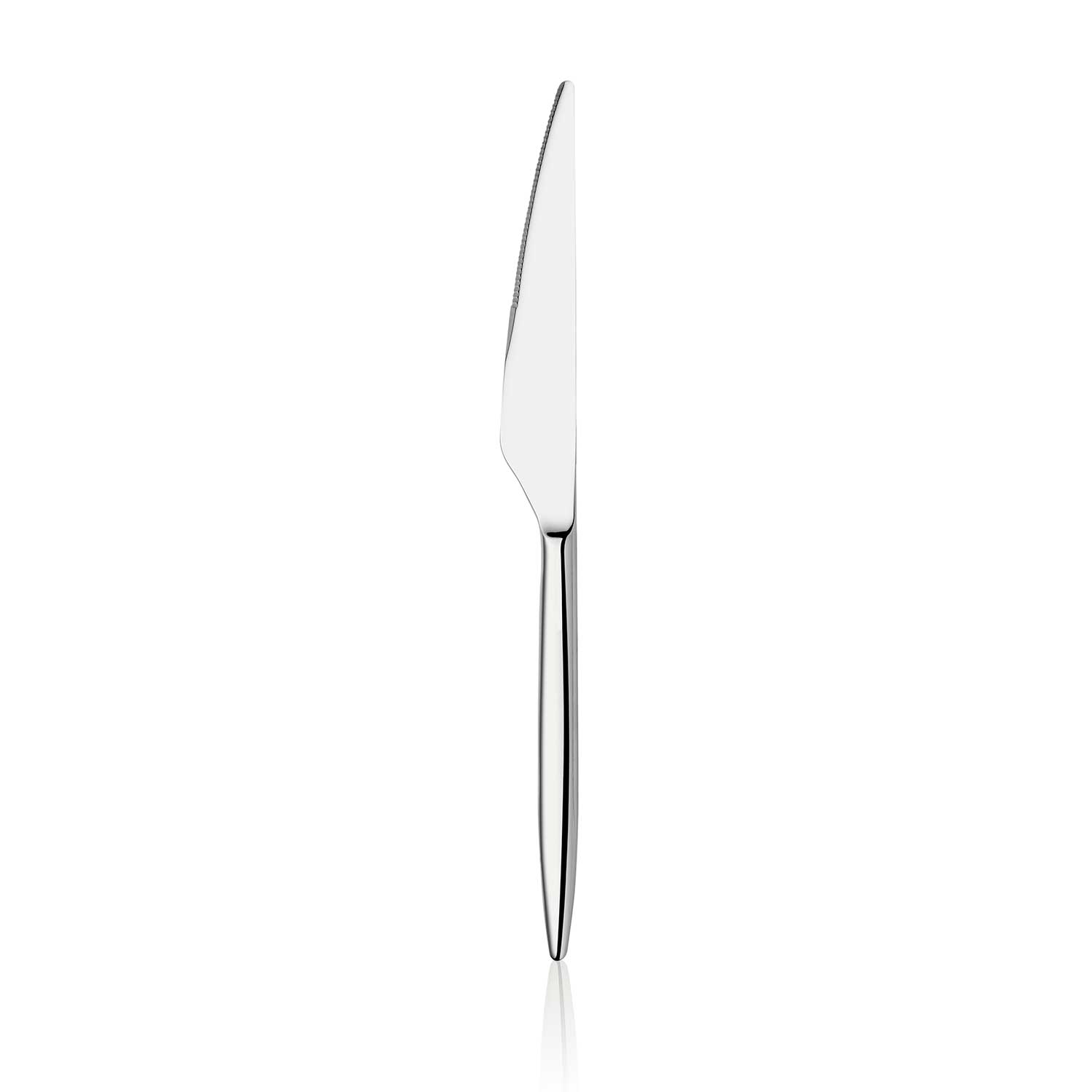 ONON Assos Sade 6 Adet Yemek Bıçağı 1