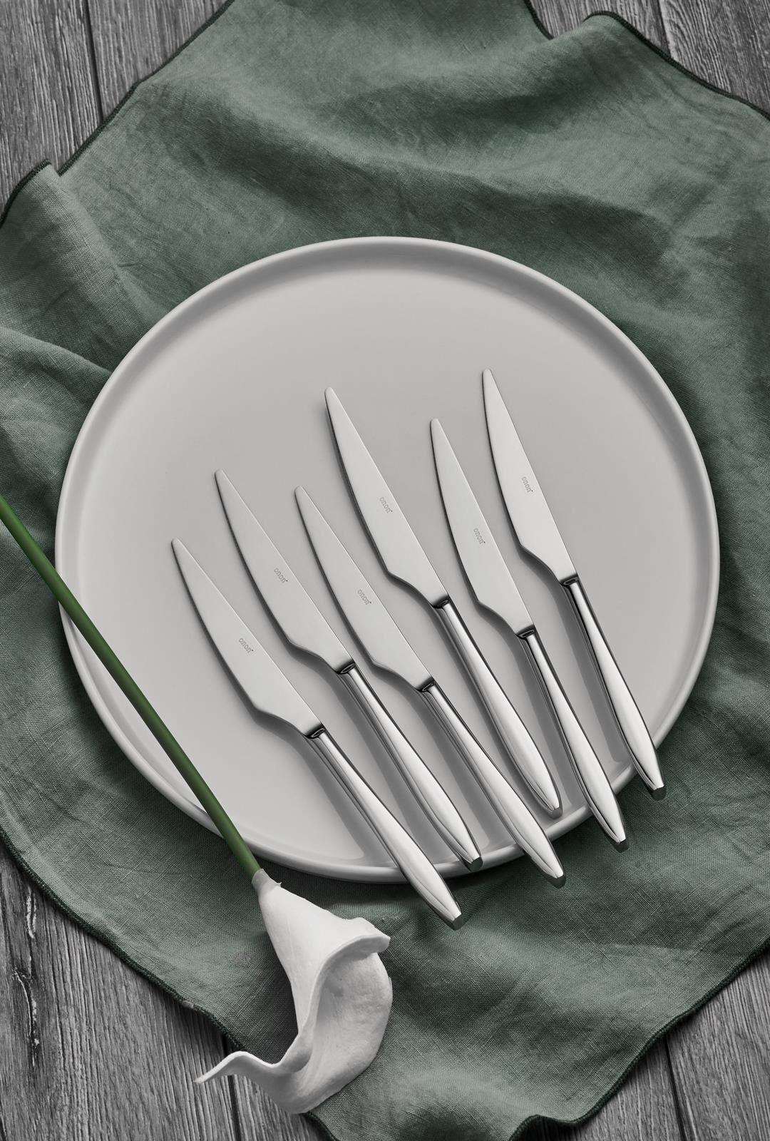 Assos Pasta Bıçak 6'lı 18/10